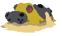 Lineless Hippowdon