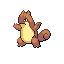 lizard