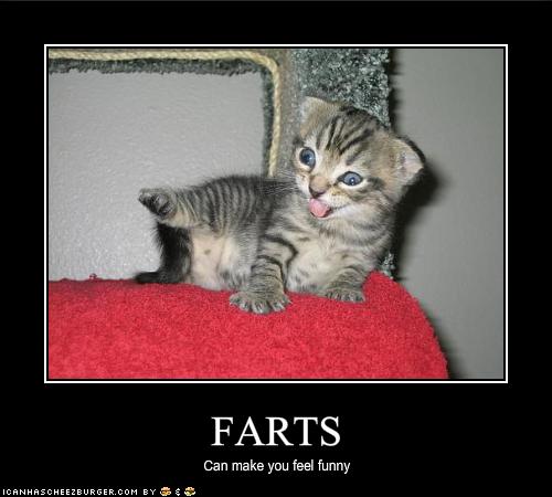 LOL!!!