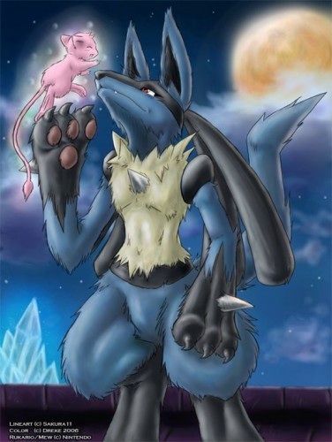lucario nice