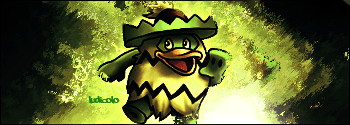 ludicolo copy