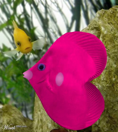 Luvdisc