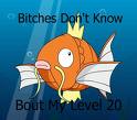 lvl 20