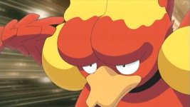 magmar