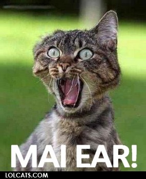mai ear