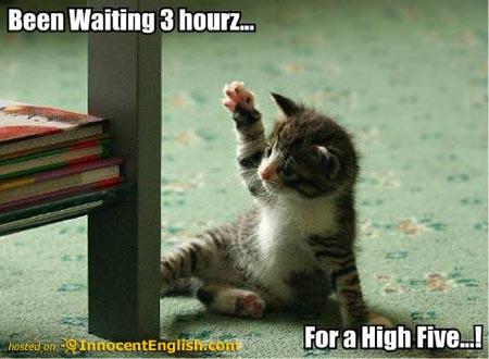 Me, ignored, waiting for a high five =3