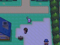 Mew hero in Platinum
