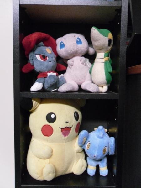 Middle two shelves in my 'plush-case'.