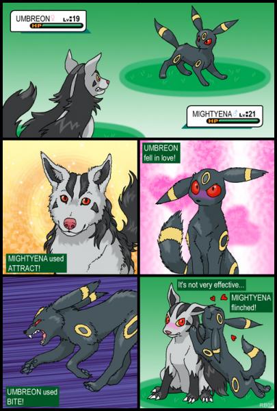 Mightyena vs Umbreon,with a twist....