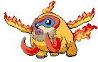 Molswine