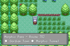 Morphic Pass