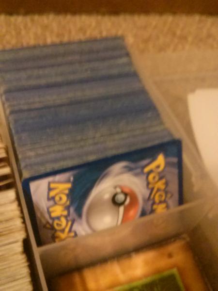 Most of my Pokemon TCG crads.