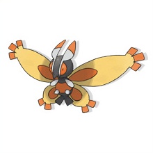 Mothim