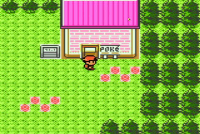 mr pokemon house 02 Apr. 08 05.37