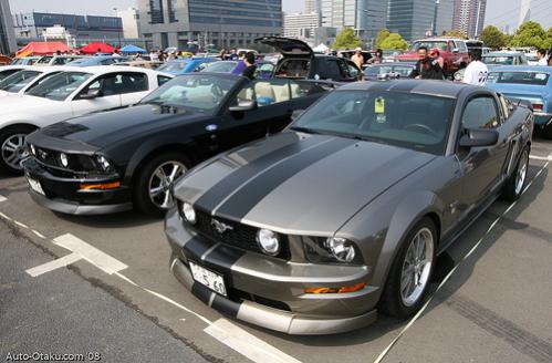 mustang