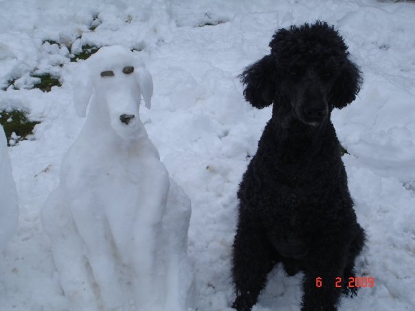 My dawg and his snow pal (Really is my dog in winter, made a snow version of him)