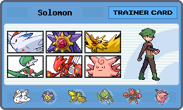 My DP Pokémon team (updated 7th March 2009)