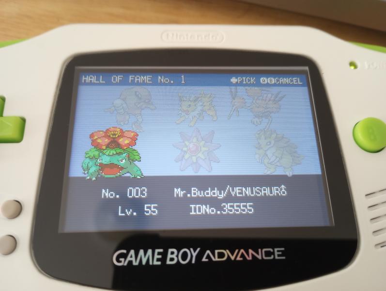 My final Leaf Green team