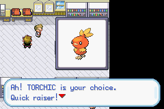 My fire starter pokemon; Torchic! ^_^