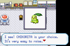 My Grass starter pokemon; Chikorita. (Yay)