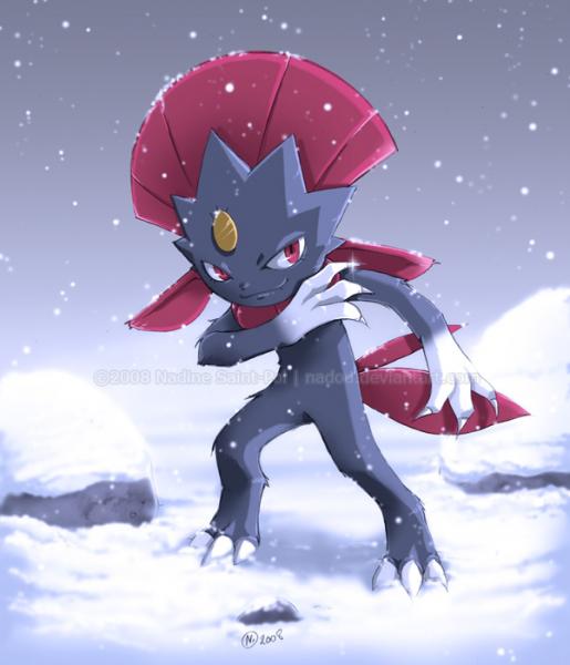 My old Weavile sig. I've recently stopped doing singatures like this seeing as they somehow mess up the forum rules anyway.