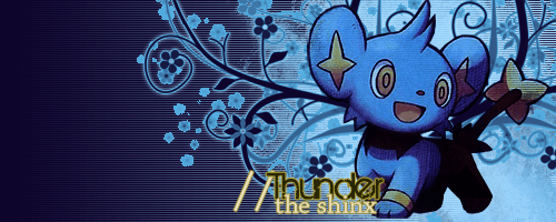 My Shinx theme I was incredibly proud of.. now it's just an eyesore. xD