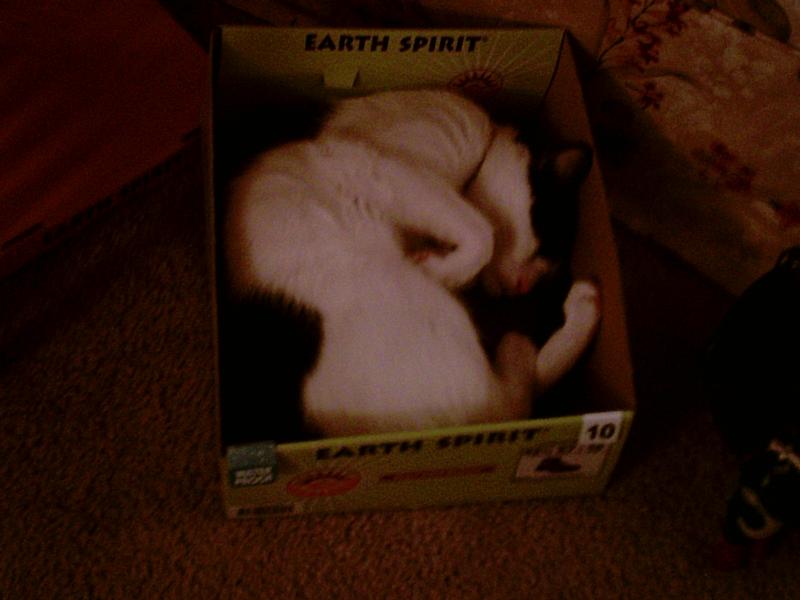 My "special needs" Kitty.