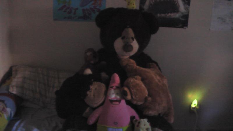 My stuff aminal fwiends ;3