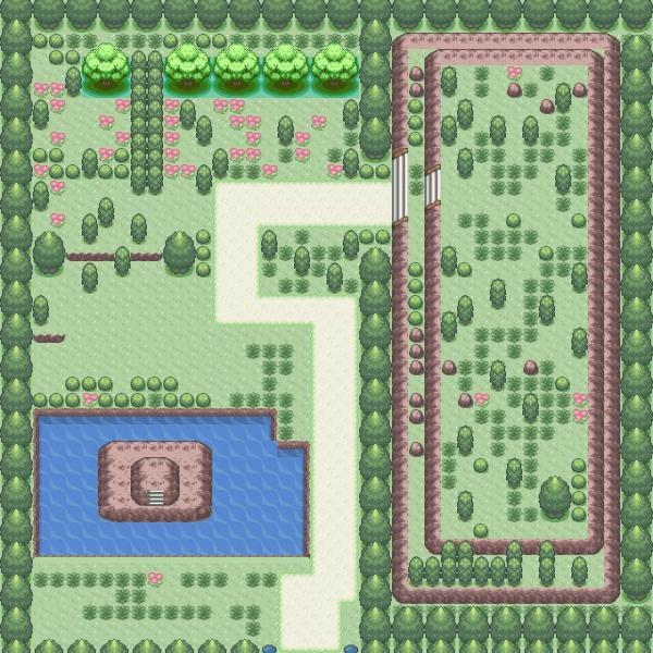 Mysterious Forest