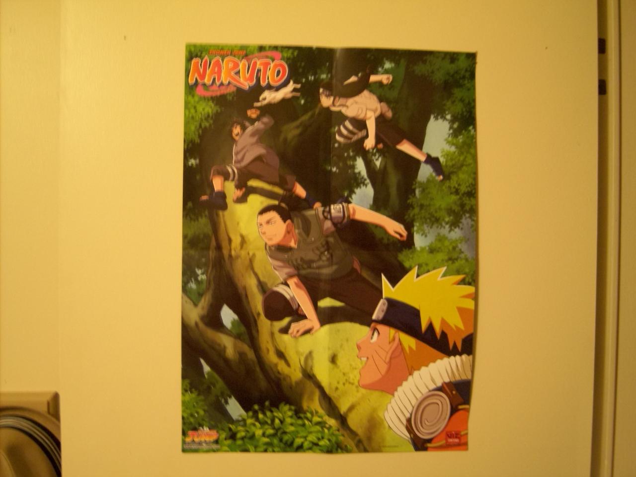 Naruto, Shikimaru, Kiba and Neji (my favorite character) running through the trees.