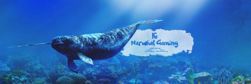 Narwhal Gaming Twitter Header   By Senses (1)