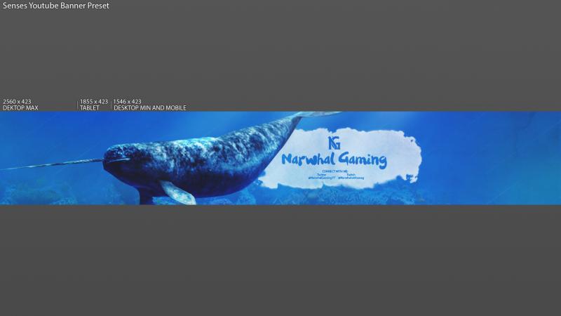 Narwhal Gaming Youtube Banner   By Senses (1)