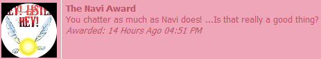 NaviAward