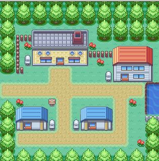 new bark town