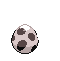 nidoron egg