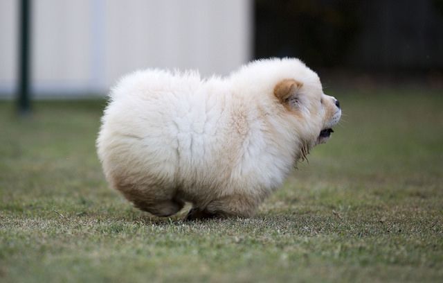 [No title]