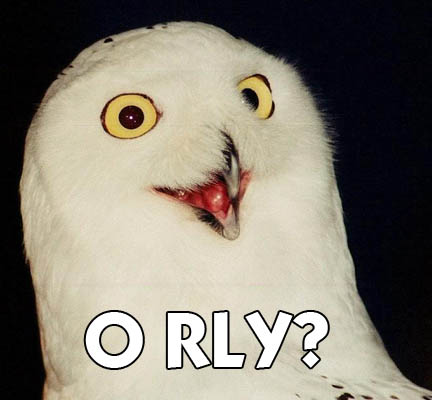 'O RLY?'
