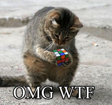 'OMG WTF'