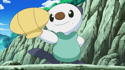 Oshawott