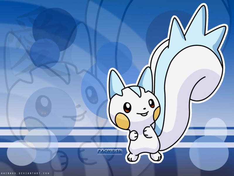 Pachirisu wallpaper