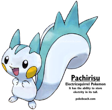 pachirisu1