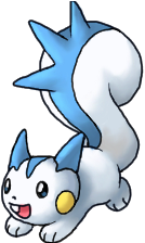 pachirisu2