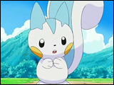 pachirisu4