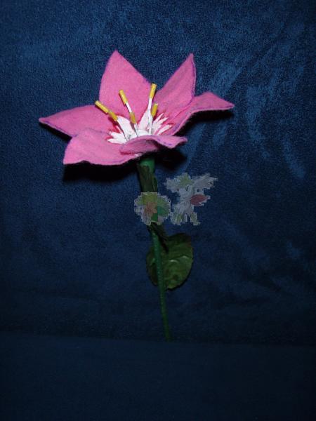 Part 08/14:

A Glacidea Flower handmade by me (c). You can't by it anywhere.
It's made out of florist's wire, color and felt.
It's become very lifelik