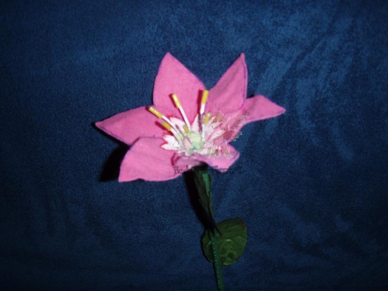 Part 09/14:

Bigger image of the Bloom! (c) by me!!!