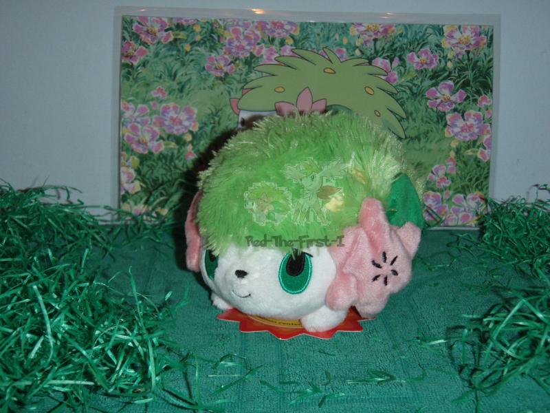Part 10/14:

Shaymin's natural and first known Form: the Land Form!