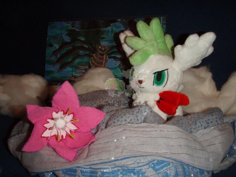 Part 13/14:

Shaymin floating in a sky of cotton wool in the Torn World, the home of Giratina!