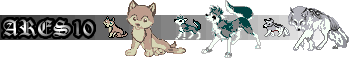 personal banner2