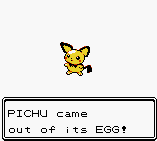 PICHU came out of its EGG!