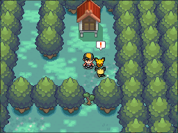 Pichu event @ Ilex Forest shrine